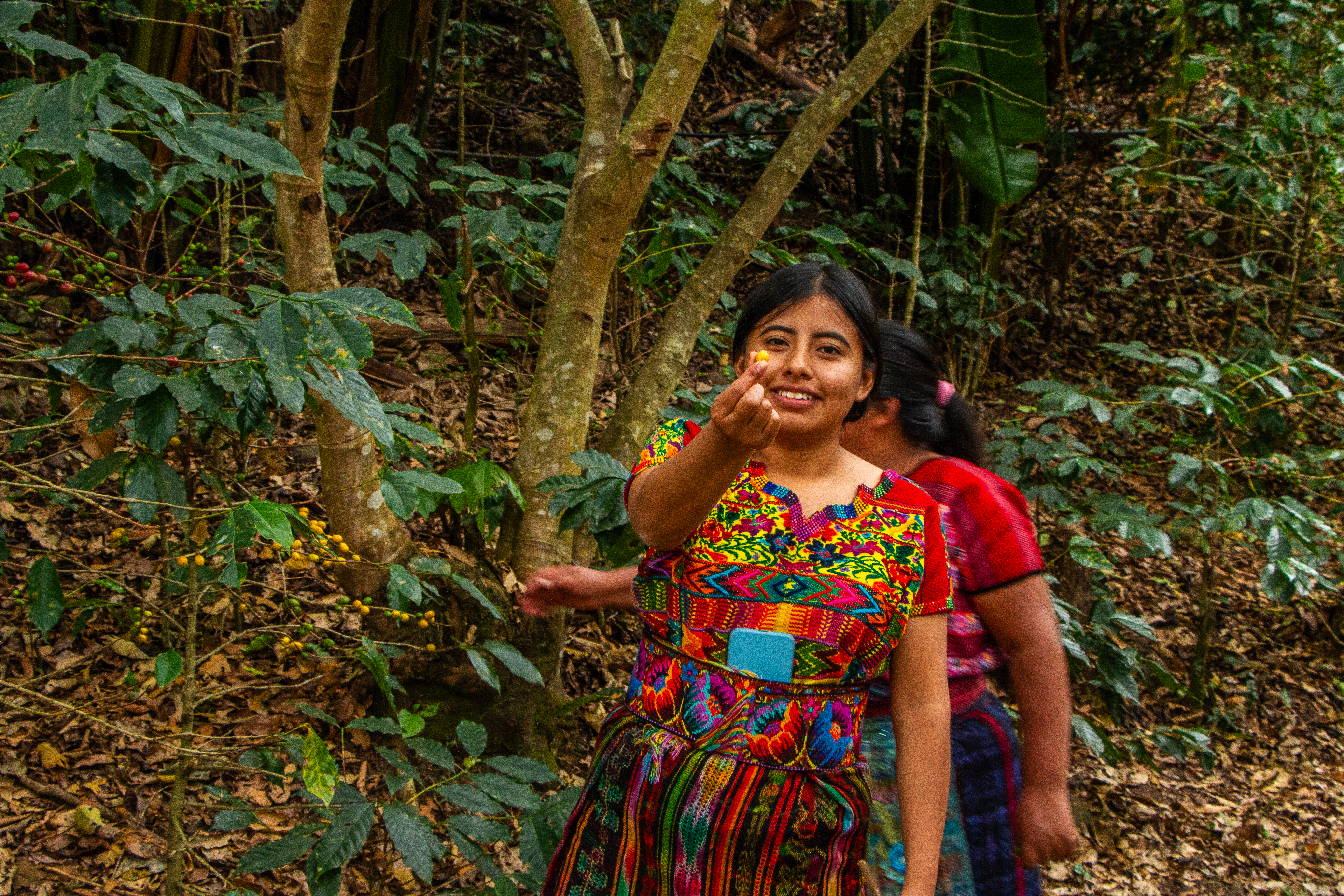 A woman on a coffee farm in Guatemala.