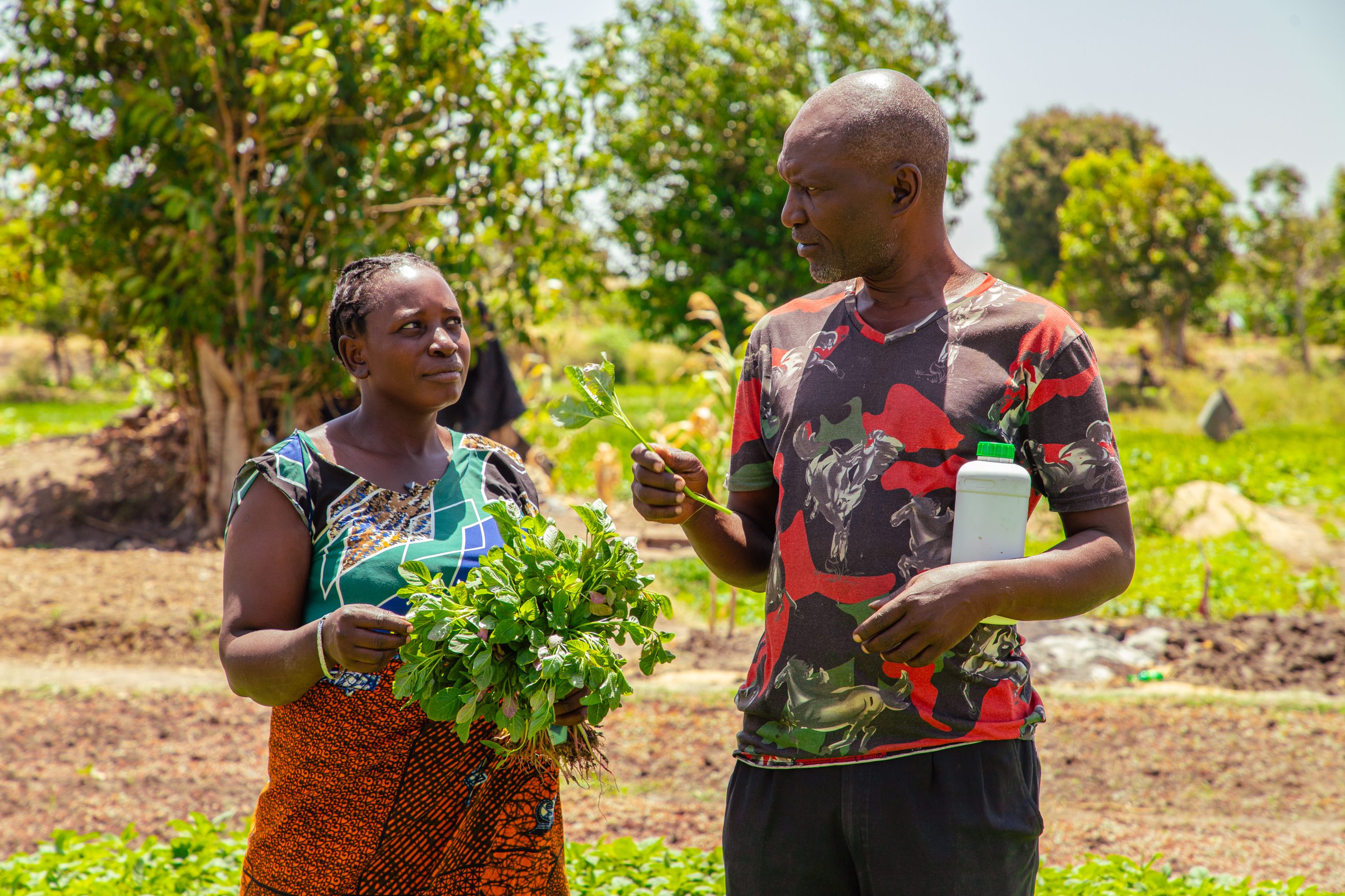 woman and man talk, holding crops on farm